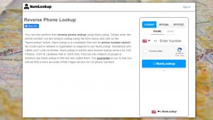 Interface of Numlookup website